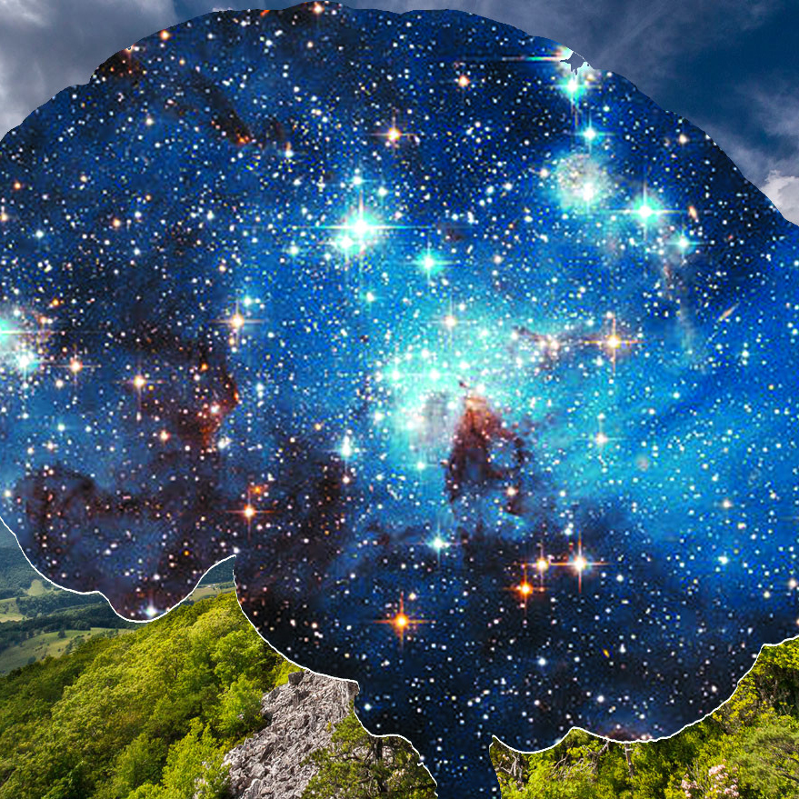 Can Science Explain Consciousness?